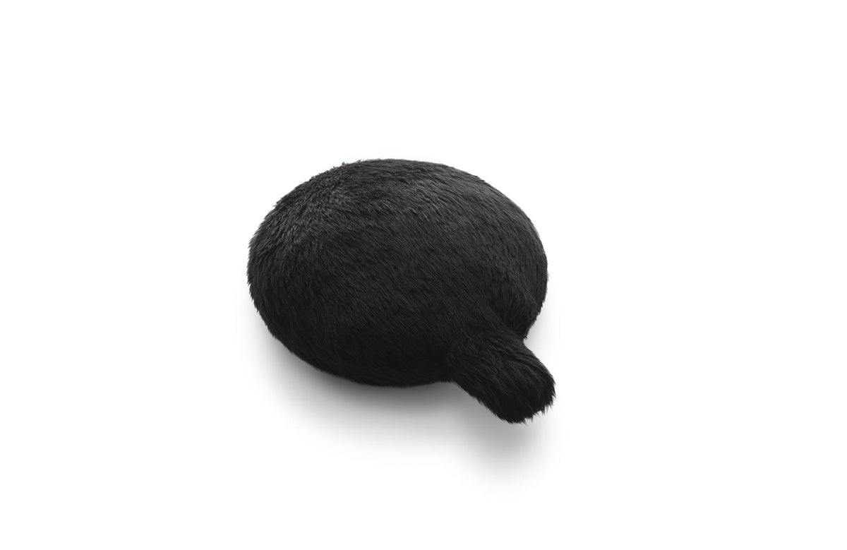 Petit Qoobo